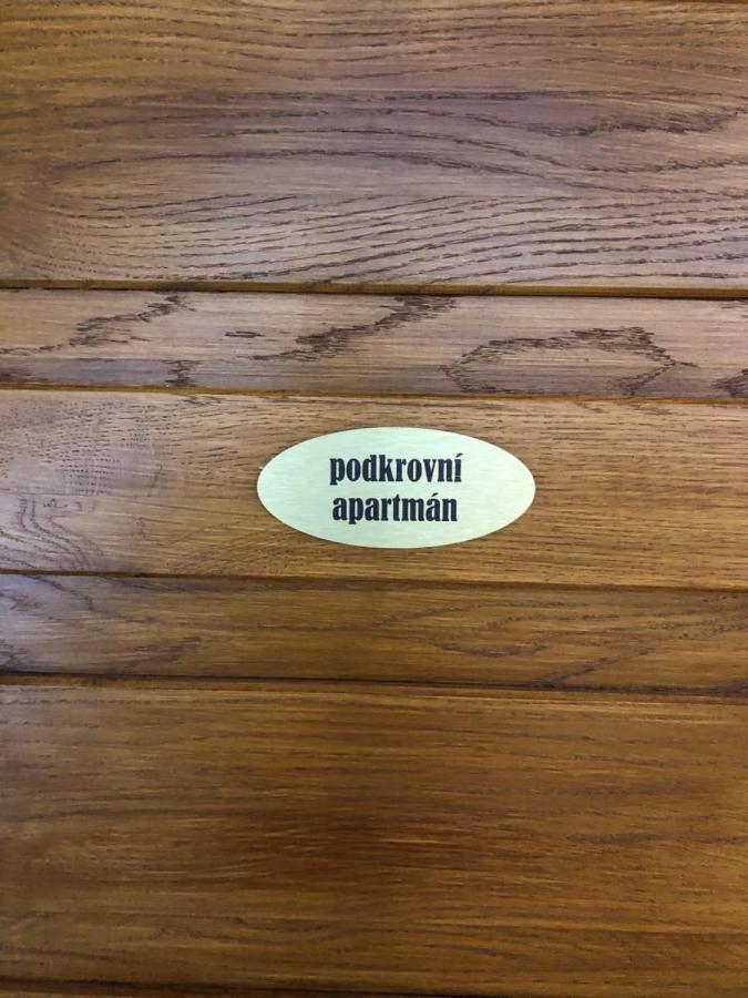 Apartmany U Vleku - Podkrovni Apartman Karlova Studánka Extérieur photo