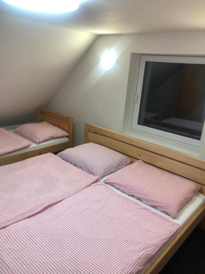 Apartmany U Vleku - Podkrovni Apartman Karlova Studánka Extérieur photo