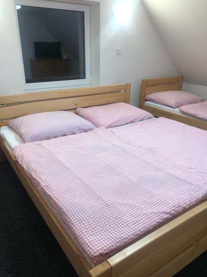 Apartmany U Vleku - Podkrovni Apartman Karlova Studánka Extérieur photo